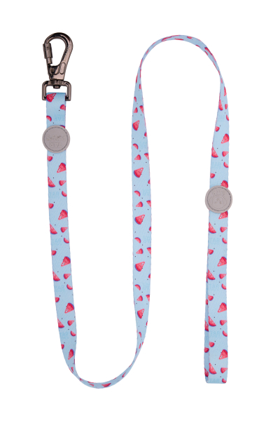 Strawberry Cloud Gezdirme Tasması