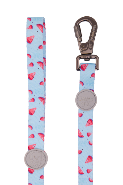 Strawberry Cloud Gezdirme Tasması