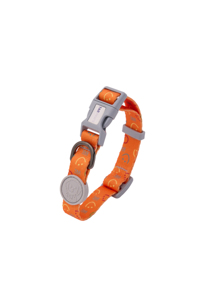 Lava Glow Boyun Tasması